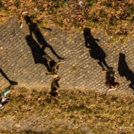 Shadows of a few people